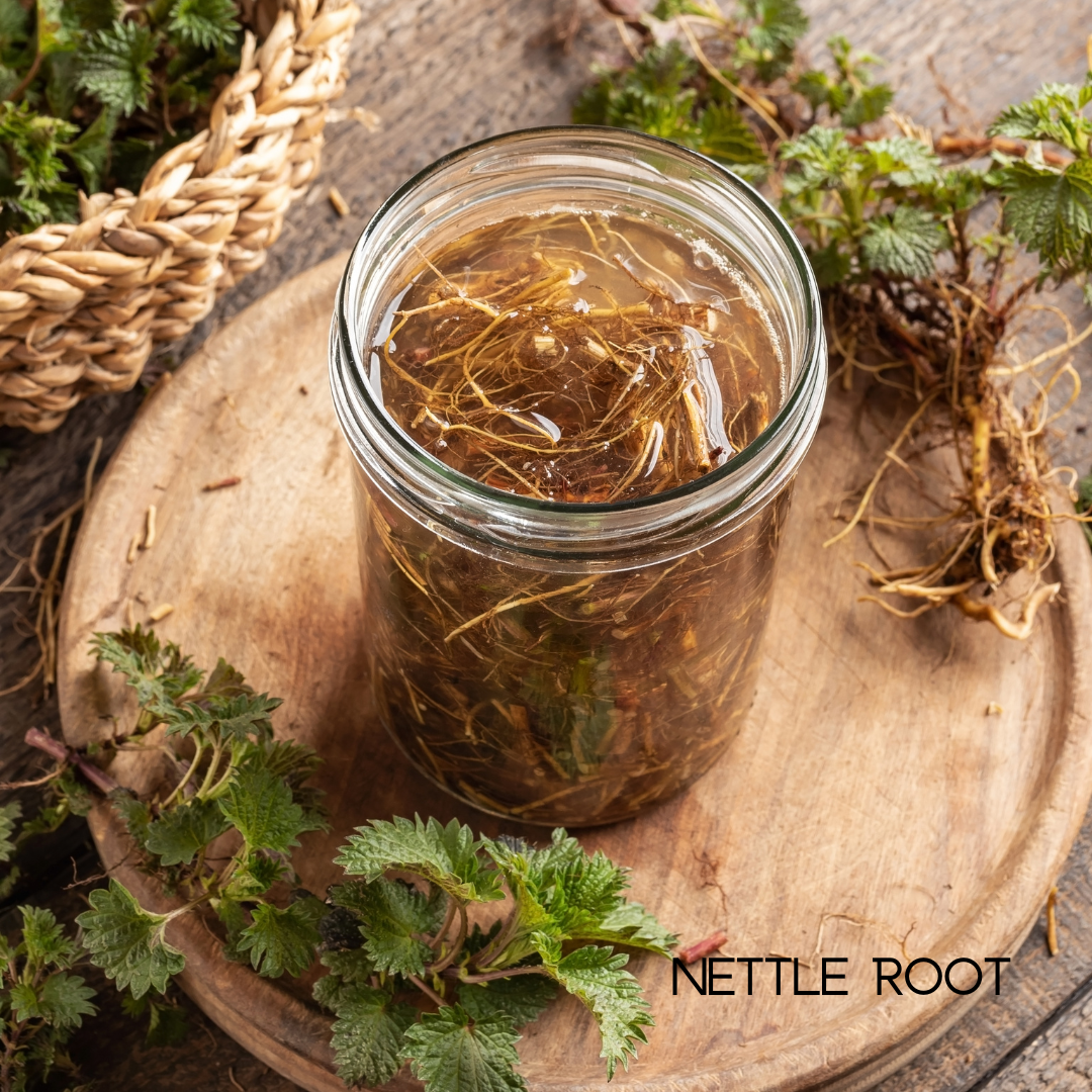 Women’s Health Multivitamins